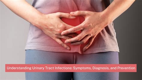 Urinary Tract Infections Utis Symptoms Diagnosis And Prevention