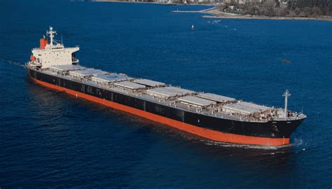 Top 5 Biggest Bulk Carriers In The World