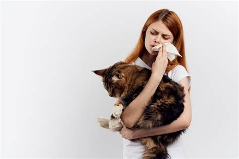 How To Get Rid Of Cat Allergies Naturally: 8 Tips That Help