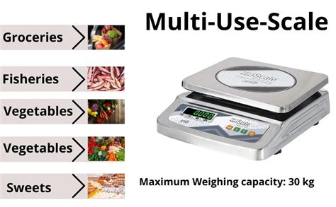 Iscale I Weight Capacity Kg X G Stainless Steel Digital Weighing