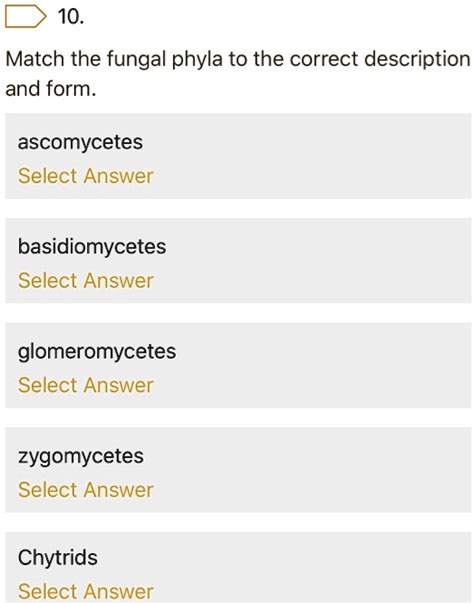 Solved 10 Match The Fungal Phyla To The Correct Description And Form Ascomycetes Select Answer