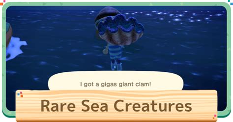 Check Out This Animal Crossing New Horizons Acnh Guide On Rare Sea