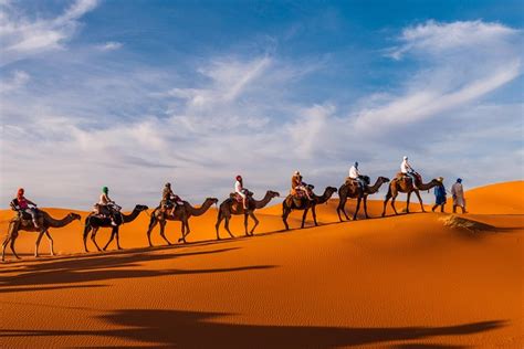 Private Overnight Desert Tour To Zagora From Marrakech Viator