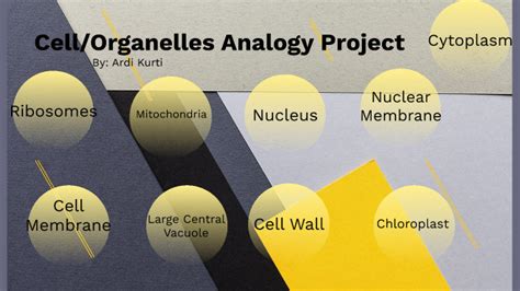 Cell Organelles Analogy Project By Ardi Kurti On Prezi