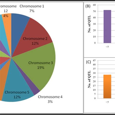 Pdf Understanding Complex Genetic Architecture Of Rice Grain Weight