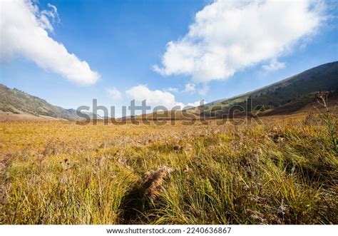 Beauty Teletubbies Hill Vast Savanna Landscape Stock Photo