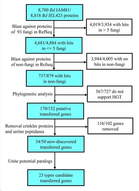 Flowchart Used To Search For Horizontally Transferred Genes In Bd And