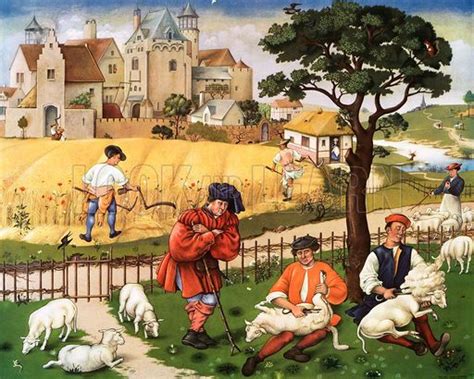 Reaping & sheep shearing, 15th c. Image at the History Picture Library ...