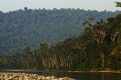 Gran Pajatén es reconocida mundialmente como 5ta Reserva de Biosfera en