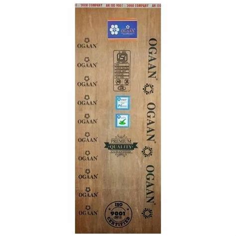 Ogaan Brown Solid Core Wooden Flush Door Shutter at best price in Babugarh