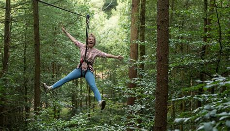 Go Ape Moors Valley Best Of Dorset Attractions