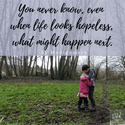 news inspiration wildtalesofcom