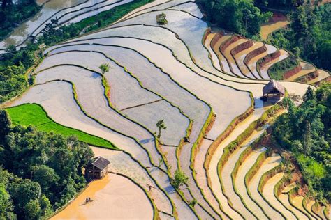 The rice terraces in Hoang Su Phi - Travel agency in Vietnam