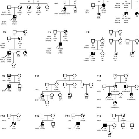 Diagnostic Algorithm For Charge Syndrome This Algorithm Would Lead To Download Scientific