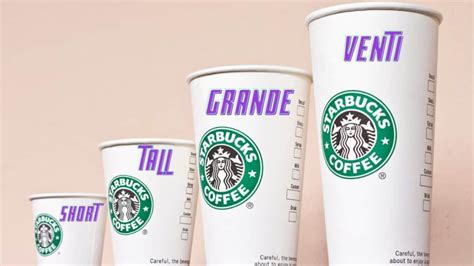 Starbucks Cup Sizes In Plain English