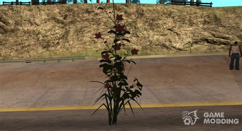 Flowers For GTA San Andreas