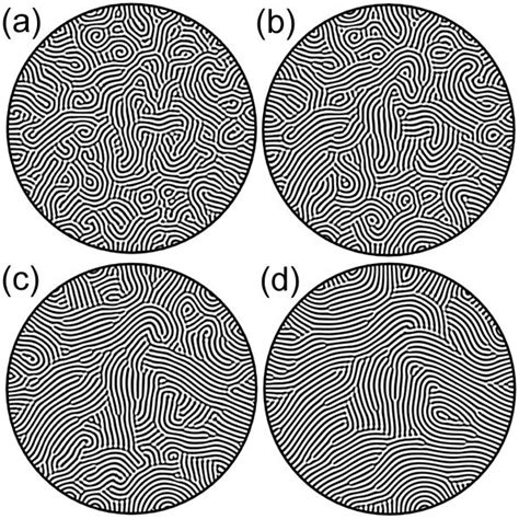 Figure From Rayleigh B Nard Convection In Large Aspect Ratio Domains