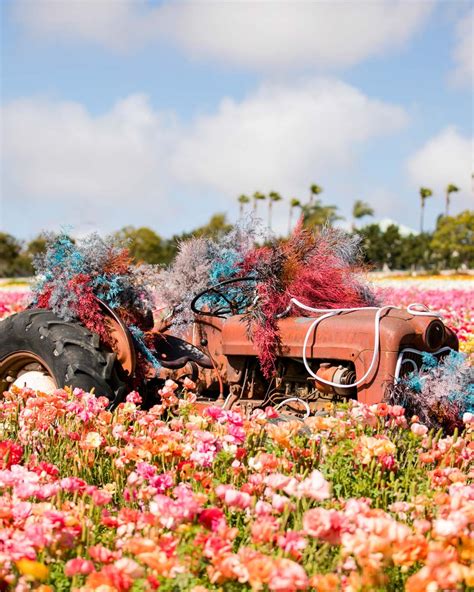 Visit California On Twitter The American Grown Field To Vase Dinner