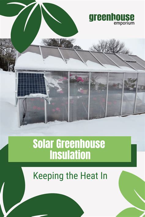 Build A Solar Greenhouse: Growing Plants With The Sun