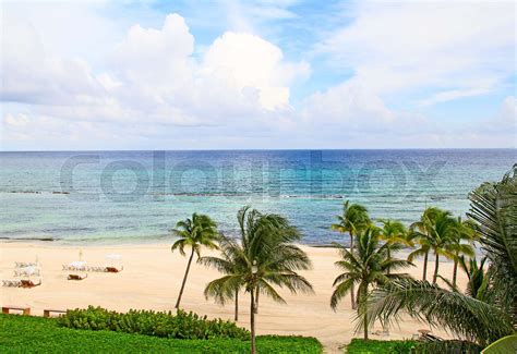 sandy beach stock image colourbox