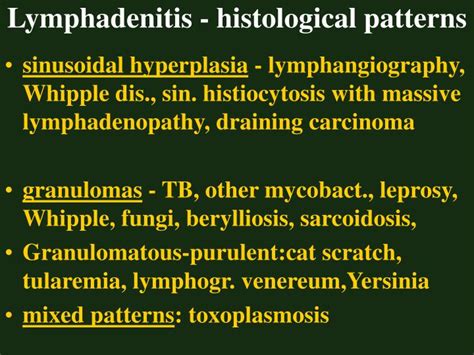 Ppt Lymph Node Pathology Powerpoint Presentation Id641763