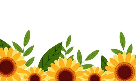 Sunflower Border Vector Art, Icons, and Graphics for Free Download