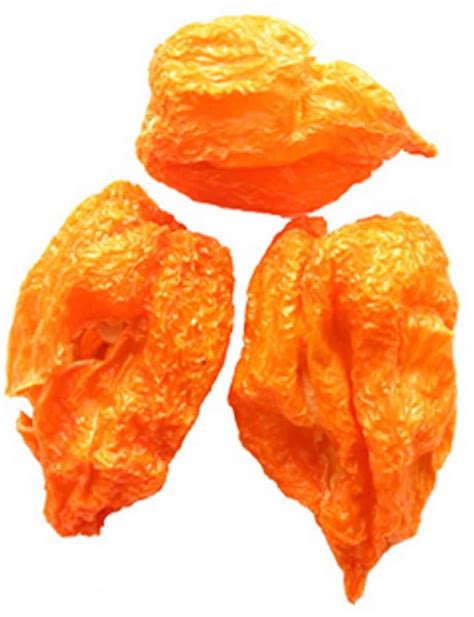 Habenero Orange Dried Whole Chilli X 2 Pods The Spiceworks Online