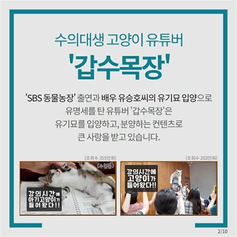 50만 유튜버 갑수목장 의 소름돋는 실체