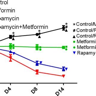 Effects Of Rapamycin And Metformin On Tumor Growth In Vivo Rapamycin