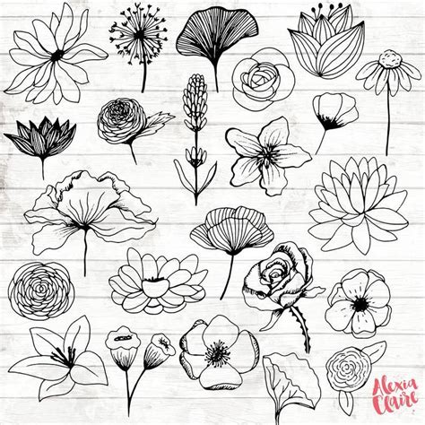 Flowers Clipart Hand Drawn Floral Cliparts Realistic Etsy Uk