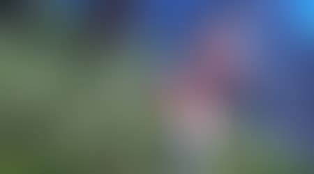 Melodic Bikini Armor CBBE TBD UUNP SE