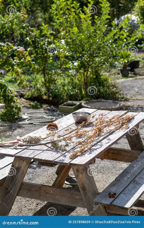 Wooden Picnic Table in a Garden. Typical South French Scene Stock Image ...