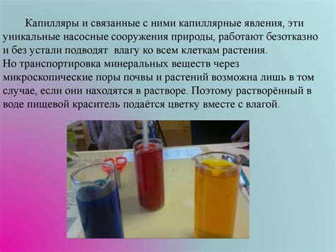 Капиллярные явления в окрашивании растений или «Физика цветов» - online ...