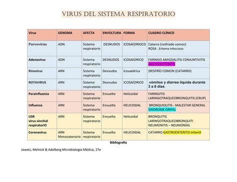 Virus Del Sistema Respiratorio Nayely Zevallos UDocz