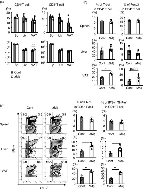 Adipose Invariant Nkt Cells Interact With Cd1d‐expressing Macrophages