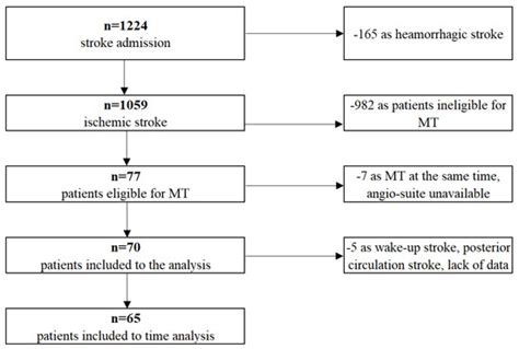 Thrombectomy Capable Stroke Centrea Key To Acute Stroke Care System