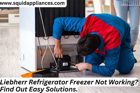 Liebherr Refrigerator Freezer Not Working? Find Out Easy Solutions ...