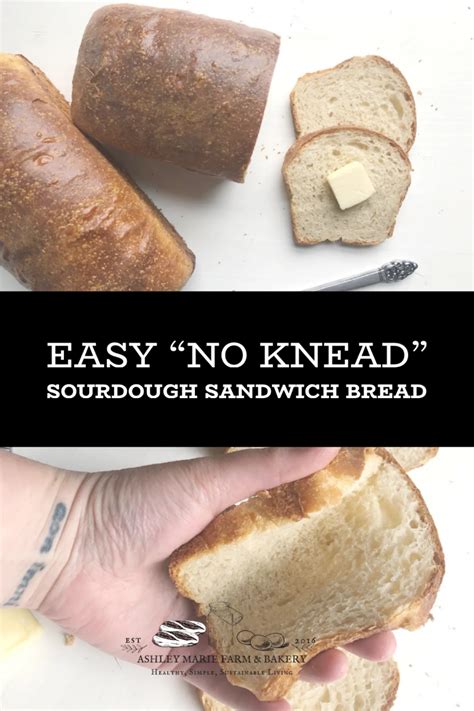 Easy No Knead Sourdough Sandwich Bread Ashley Marie Farm And Bakery