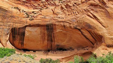 Visit This Cave Dwelling At Arizona’s Navajo National Monument