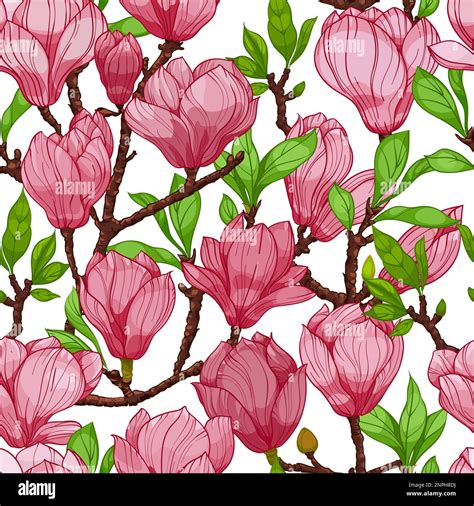 Pink Magnolia Flowers Seamless Pattern Hand Drawn Illustration Stock