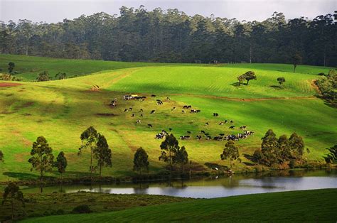 Complete Travel Guide To Nuwara Eliya Sri Lanka Best Things To Do In