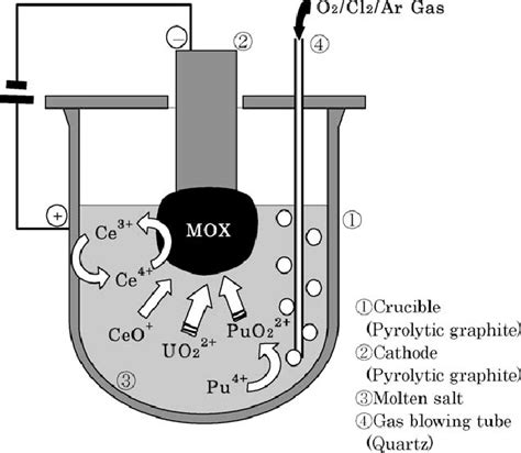 Electrochemical Reactions In Molten Salt And Test Equipment Of Mox