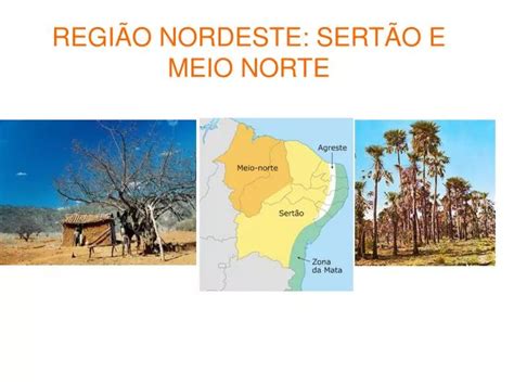 PPT REGIÃO NORDESTE SERTÃO E MEIO NORTE PowerPoint Presentation