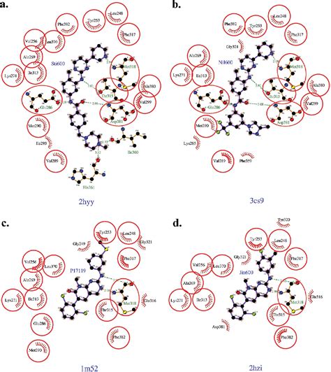 Pdf Ligplot Multiple Ligand Protein Interaction Diagrams For Drug