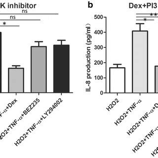 PBMCs With Severe Asthma Showed Dexamethasone Insensitivity In The