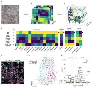 前沿2023 空间代谢组学与MALDI质谱成像 知乎