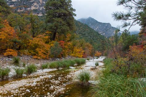 Fall Colors in McKittrick Canyon - Big Bend Chat