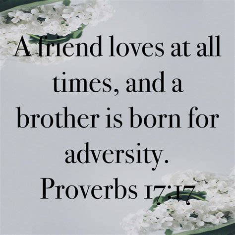 Proverbs A Friend Loves At All Times And A Brother Is Born For