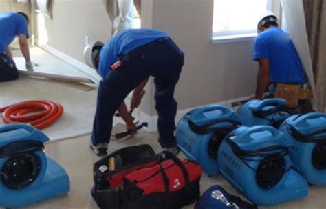 Water Damage Carpet Drying Melbourne Water Removal Services