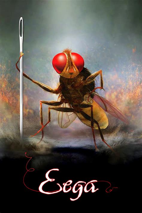 Eega (2012) - Posters — The Movie Database (TMDB)